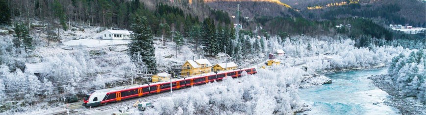 Scenic Rail Journey from Oslo to Bergen on board the Bergen Railway